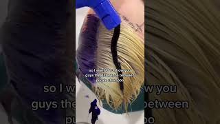 Protect Hair Colour Dye Blonde Hair Brass Toning Purple Sulfate Free Shampoo [upl. by Dominic24]