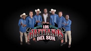 LOS HAITIANOS DEL SUR  KARAOKE OTRO DIA MAS SIN VERTE LYRICS [upl. by Primrose]