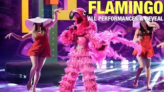 The Masked Singer Flamingo All Clues Performances amp Reveal [upl. by Duong]