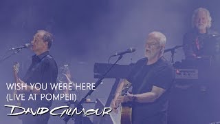 David Gilmour  Wish You Were Here Live At Pompeii [upl. by Leahci]