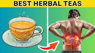 6 Best HERBAL Teas to Lower Creatinine Levels and Improve Kidney Functions  PureNutrition [upl. by Kelwunn]