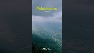 Palakkadan Trip Palakkad Beauty Major tourist Attraction Nelliyampathy [upl. by Naxela]