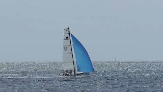 Nacra F18  Spinnaker [upl. by Edvard]