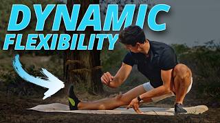 30 Minute Dynamic Flexibility Routine FOLLOW ALONG [upl. by Nihahs]