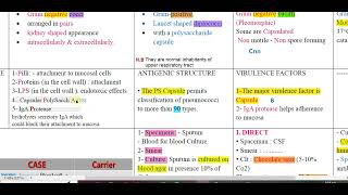 Bacterial Meningitis Revision [upl. by Ellehs232]