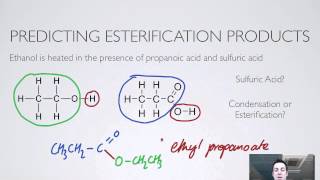 10 Esterification [upl. by Amaj]