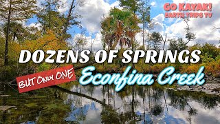 Amazing Florida Cold Springs Panhandle Florida Econfina Creek [upl. by Dowski]