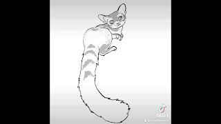 draw ringtail cat with houvv [upl. by Hans]