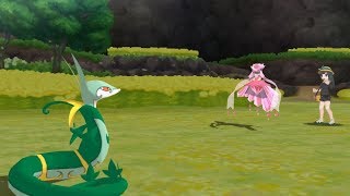 serperior sweep [upl. by Noellyn]