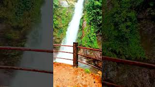 Changey waterfall 🌊 🌊 Lava 💦💦Highest waterfall in West bengal kalimpongshotsviral [upl. by Hanako]