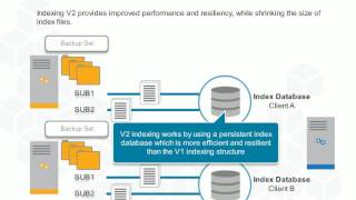 Commvault Simpana v11  Indexing [upl. by Alehs]