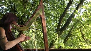 LAWENA de Brocéliande Harp amp songquotFLOWER OF MAGHERALLYquot [upl. by Yaner]