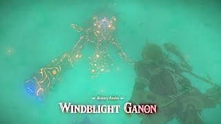 WindBlight Ganon REMATCH in The Illusory Realm  Zelda Breath of the Wild  Champions Ballad [upl. by Ericka]