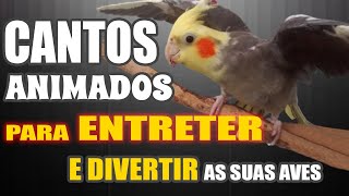 CALOPSITA CANTANDO ASSOBIOS E CANTOS [upl. by Lavotsirc]