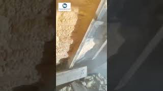 spray foam insulation removal [upl. by Latouche796]