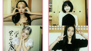 BLACKPINK SUMMER DIARY IN SEOUL Photos [upl. by Suoirad669]