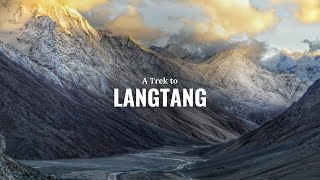 Langtang Trek  Vlog  First Part [upl. by Yarised]