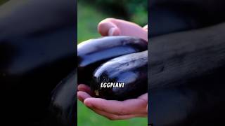 Food  Uncover eggplants surprising 79 food eggplant shorts [upl. by Estus161]