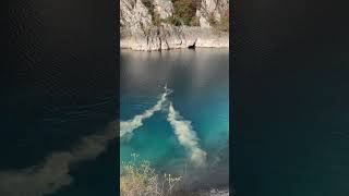 Cervi che nuotano nel lago di San Domenico goledelsagittario in abruzzo [upl. by Binah]