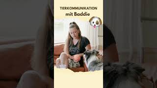 Tierkommunikation mit Hund «Baddie»  Teil 2 🐾 [upl. by Eniretac434]