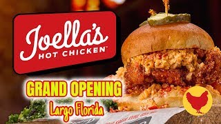 Joella’s Hot Chicken Grand Opening Largo Florida [upl. by Bram]