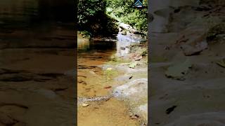 Río en Bo Caguana Utuado PR🇵🇷❤️ [upl. by Htiaf]