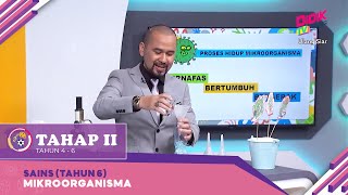 Tahap II 2022  Sains Tahun 6  Mikroorganisma R [upl. by Mandell]