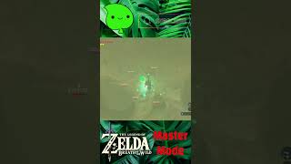 Zelda BOTW  Big Brained Moment shorts zelda [upl. by Airekat820]