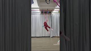 aerial aerialdance dance aerialyoga daynhay [upl. by Noizneb233]