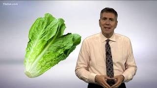 Why is romaine lettuce the target of several recent recalls [upl. by Roxy972]