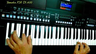 Вологда ВИА Песняры cover Yamaha PSR SX600 [upl. by Dunston71]