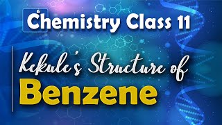 Kekule’s Structure of Benzene  Aromatic Compounds  Chemistry Class 11 [upl. by Atsejam636]