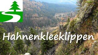 Wandern im Harz  Braunlage Achtermann Hahnenkleeklippen [upl. by Larcher]