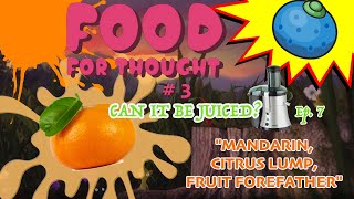 Food For Thought  3  Can It Be Juiced 7  quotMandarinquot [upl. by Eniarol]