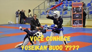 Você conhece o Yoseikan Budo [upl. by Hamish250]