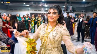 Nasir Hezexi  Mizgin amp Ridvan  4K  Part01  Kurdische Hochzeit by dliarfilmproduction [upl. by Alver]