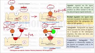 Class 36 Competitive and Noncompetitive antagonist  Medicinal Chemistry 01  What is Antagonist [upl. by Morehouse]