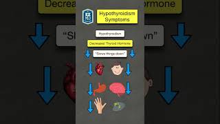 How to Remember Hypothyroidism Symptoms Nursing NCLEX USMLE [upl. by Nannek105]