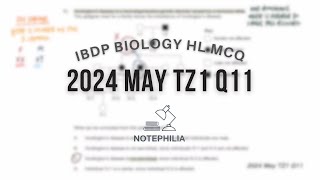 IB Biology HLSL 2024 May TZ1 Paper 1 Q11HLQ13SL [upl. by Pinkham]