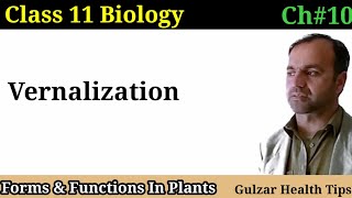 Vernalization  significance of Vernalization  Forms and functions in plants  Class 11th Biology [upl. by Karlik]