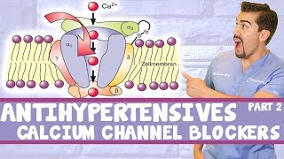 Antihypertensive Calcium Channel Blockers Part 2 [upl. by Hyacinthia622]