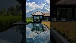 Modern house with thatched roof on rice field [upl. by Eimorej]