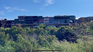 UP 1983 “Western Pacific” leads loaded coal train [upl. by Arzed326]