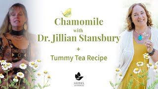 Chamomile with Dr Jillian Stansbury  Tummy Tea Blend [upl. by Antoni]