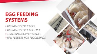 ChoreTime Egg Feeding Systems [upl. by Noxas]