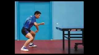 Zhang Jike Backhand Basics [upl. by Acisset]