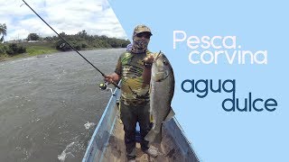 🐟 Pesca de Corvina de agua dulce en Ecuador 2018 [upl. by Aneles]