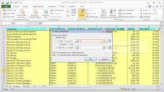 Excel YearMonthDay Custom AutoFilter for date columns [upl. by Lrigybab674]