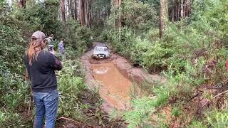 Woodmore Track  Toolangi  GU Patrol TB45 [upl. by Essirahs]