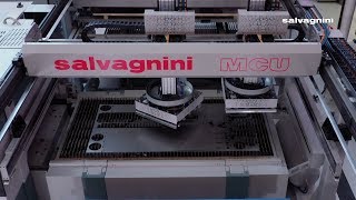 Salvagnini laser automation LTWS  MCU [upl. by Belldas]